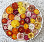 Multicolour Flowers