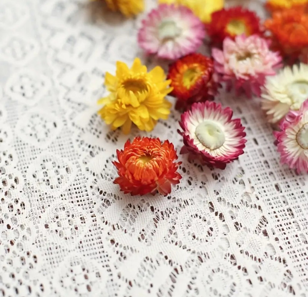 Multicolour Flowers