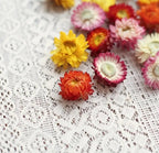 Multicolour Flowers