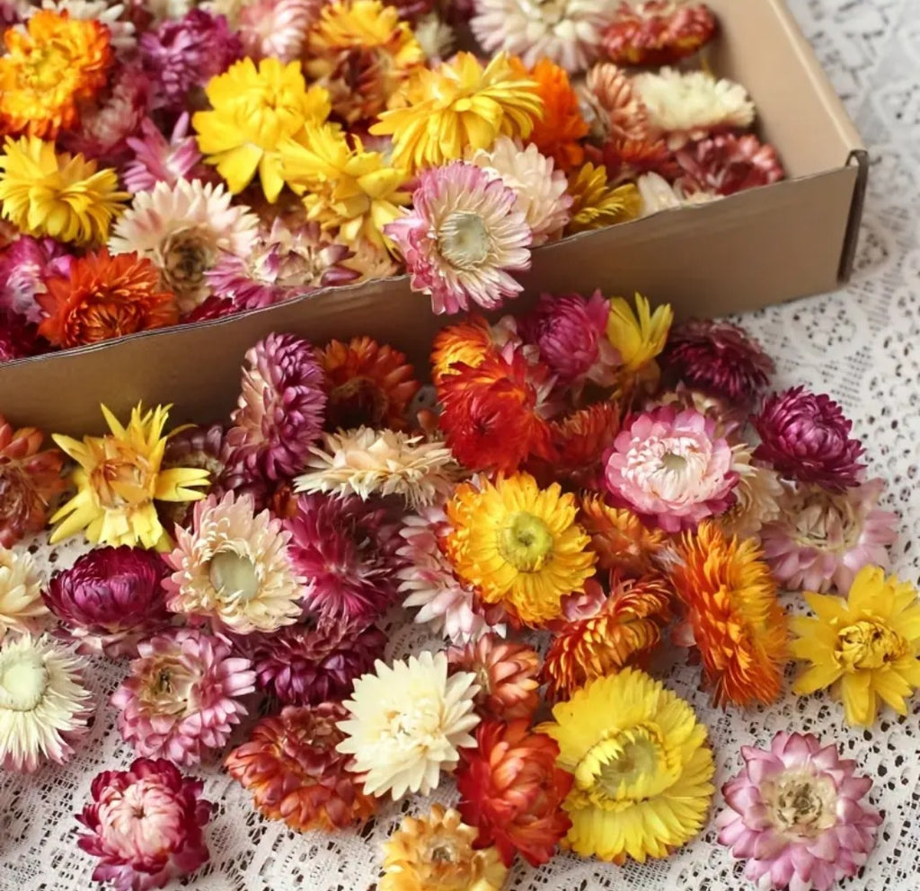 Multicolour Flowers